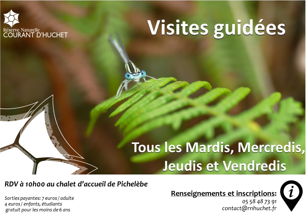 Partez à la découverte de la Réserve Naturelle ...