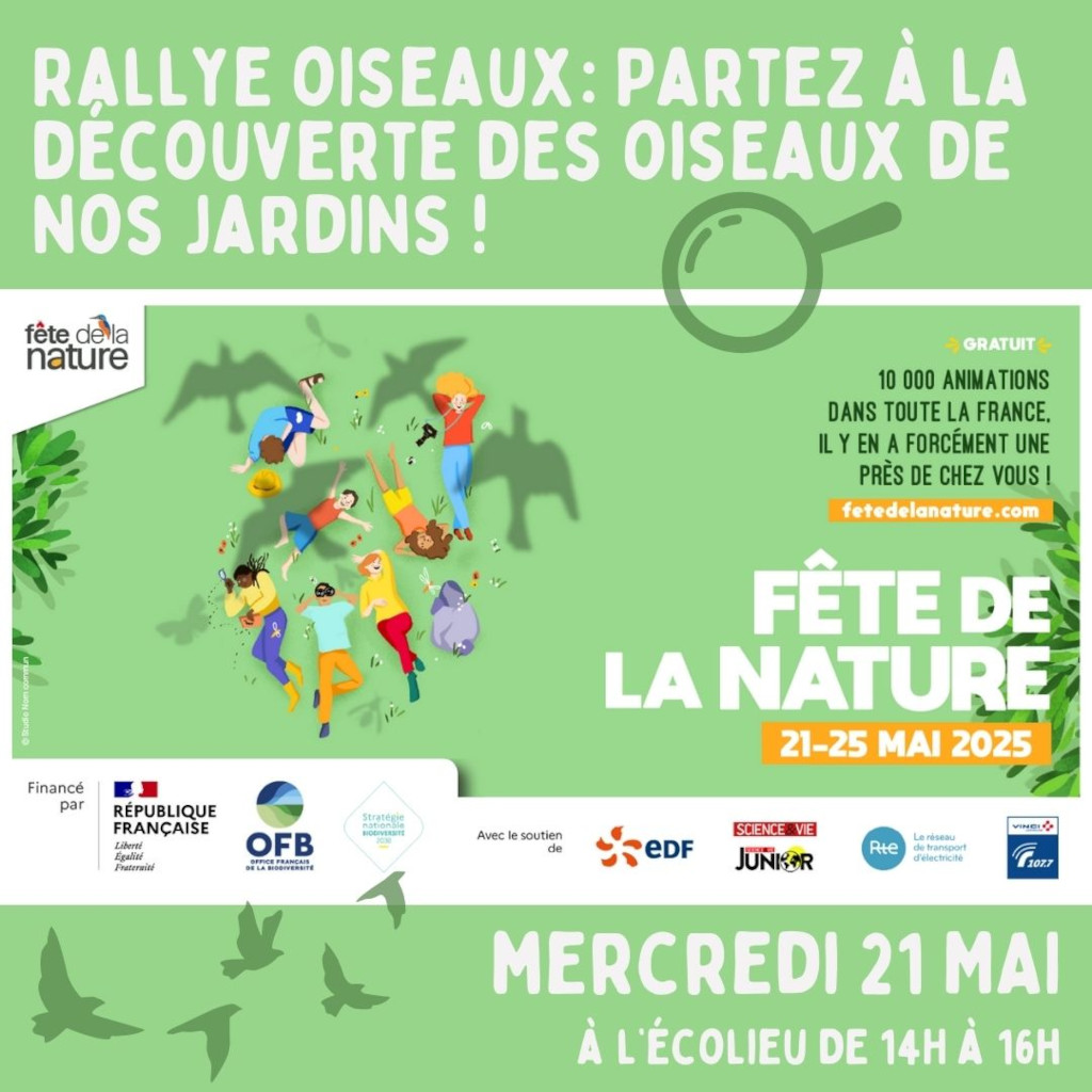 Rallye oseaux : Partez à la découverte des ois ...