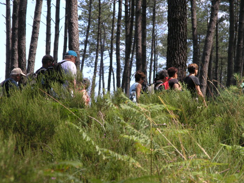 Randonnée pédestre "L'embouchure du Courant d' ...