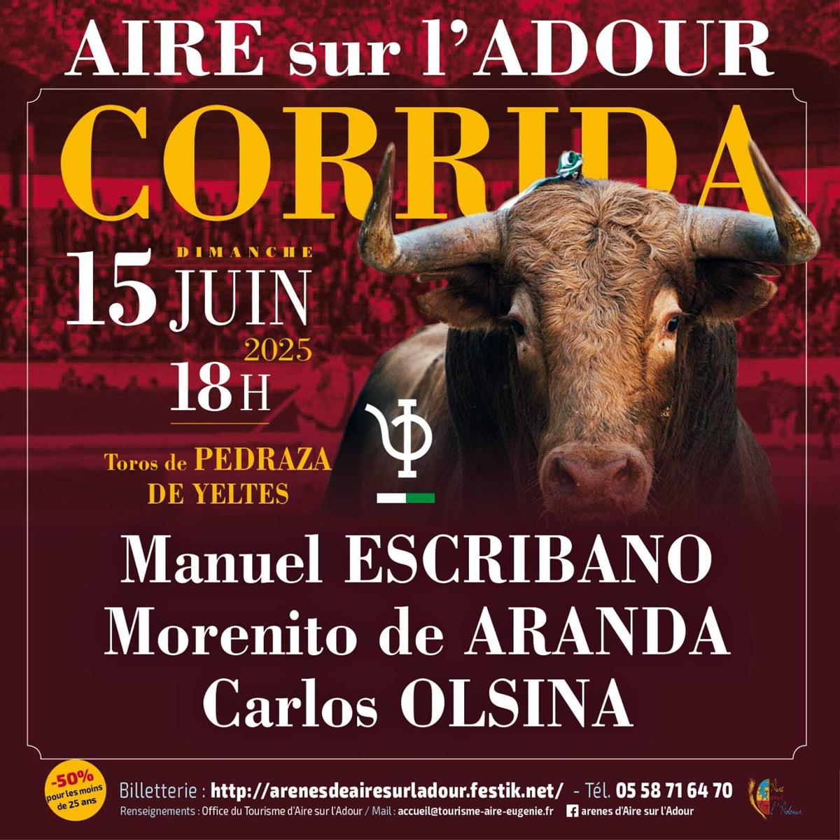 Dimanche de la Féria d'Aire sur l'Adour