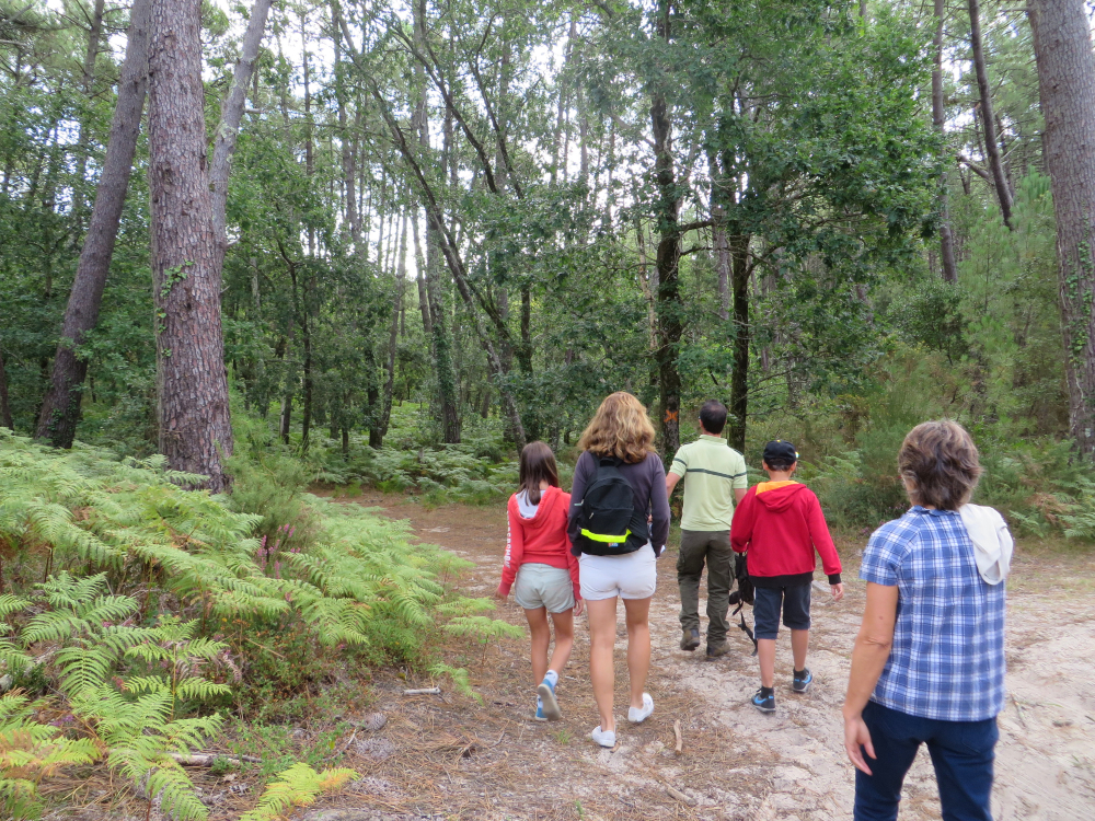 Explorez la forêt avec l'ONF