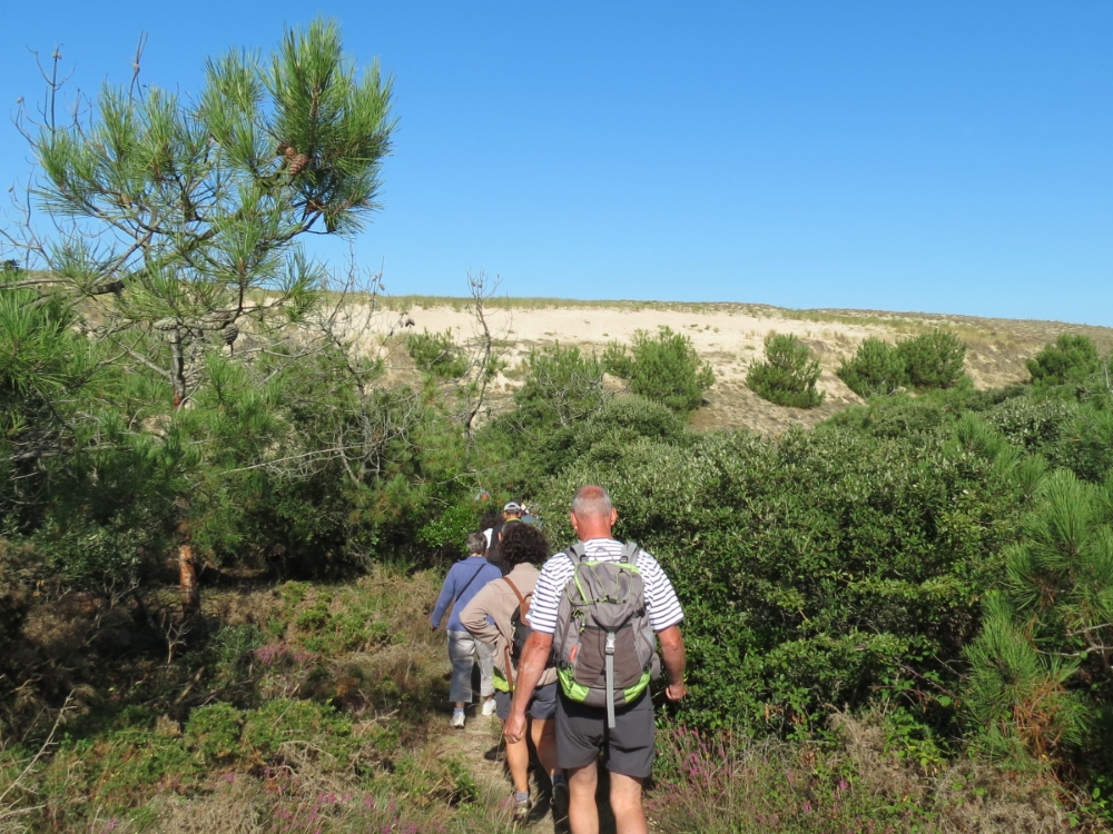 Explorez la dune avec l'ONF