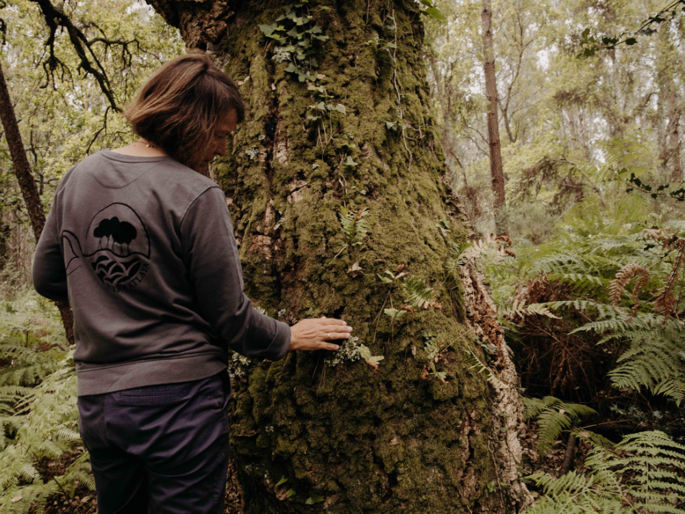 Bain de forêt