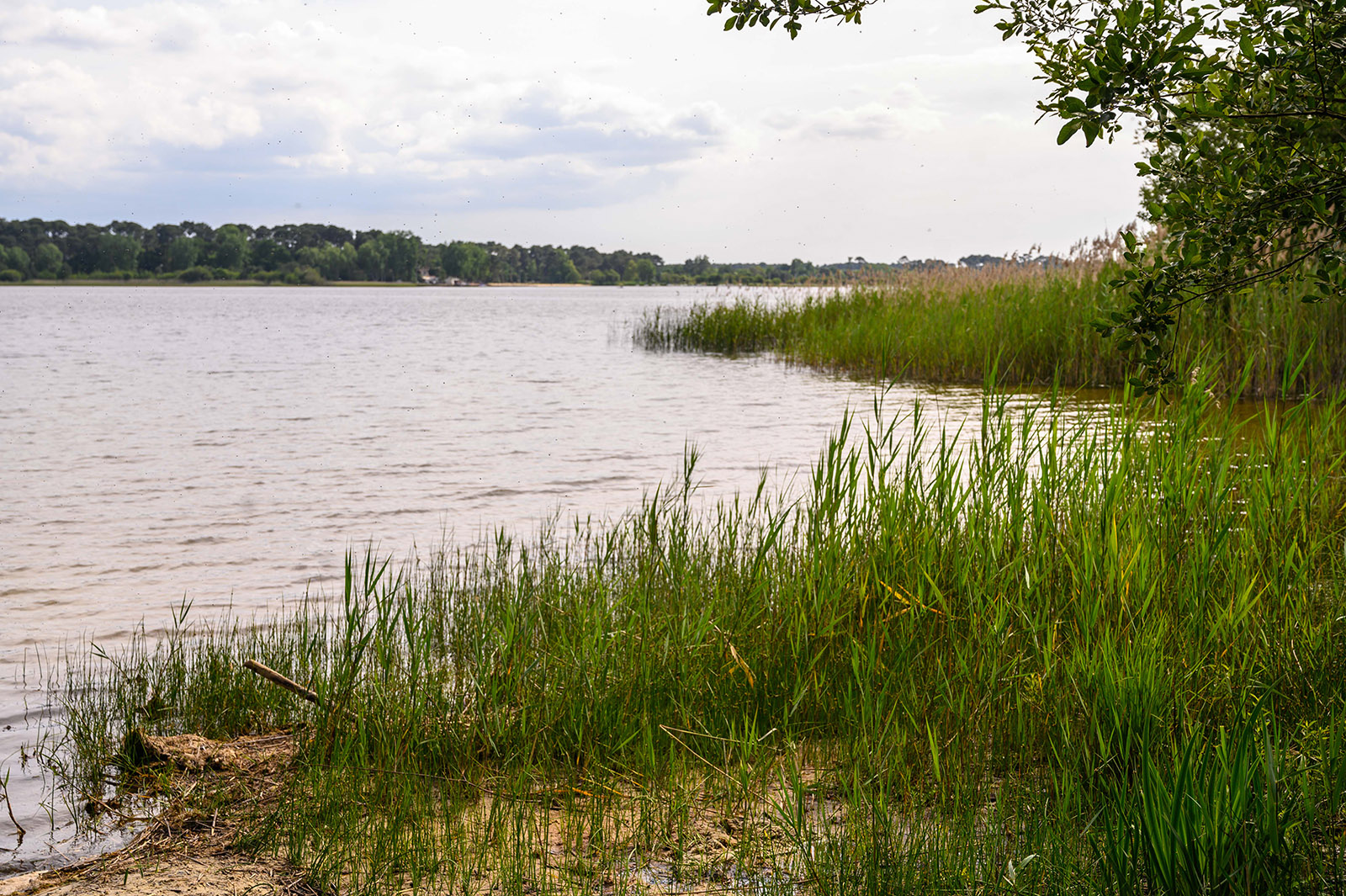 Plage de Maguide au lac de Biscarosse