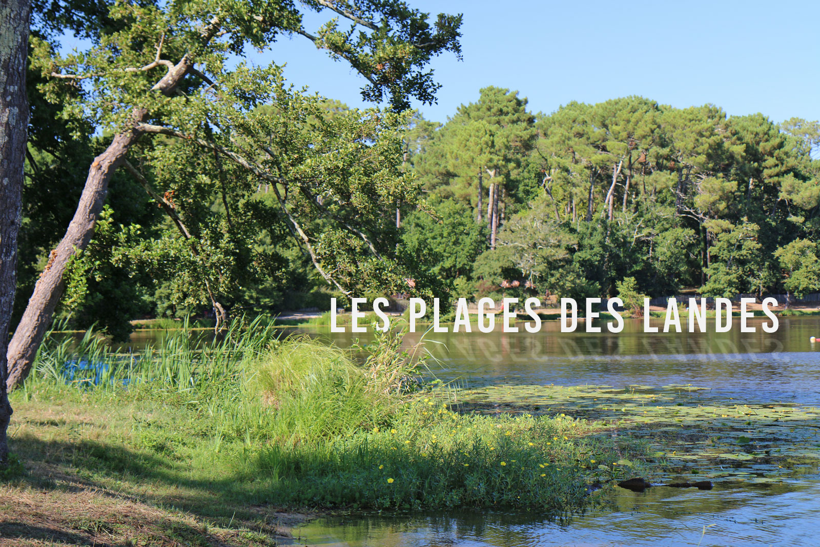 Plage du Lac d’Arjuzanx