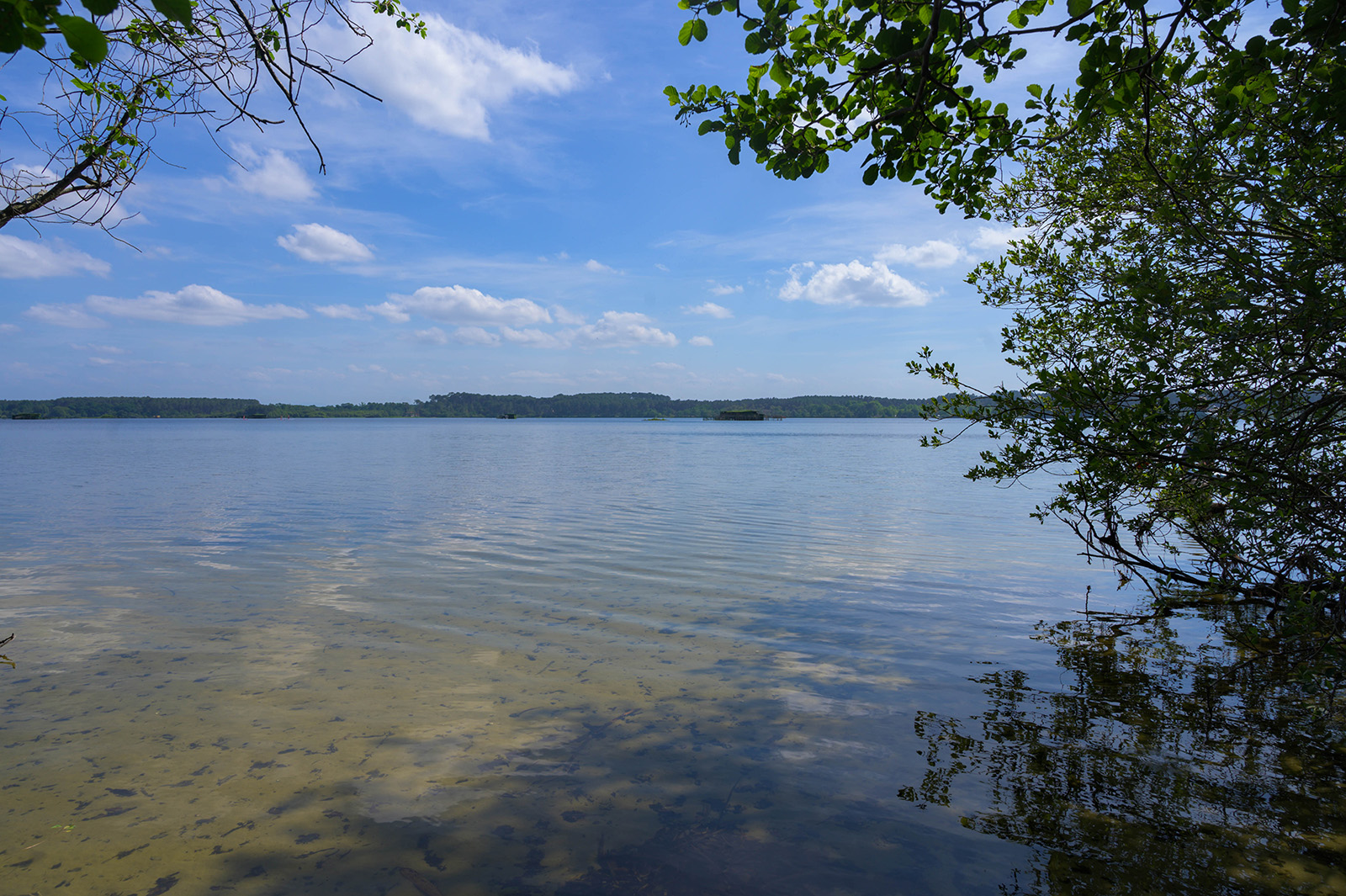 Etang Blanc
