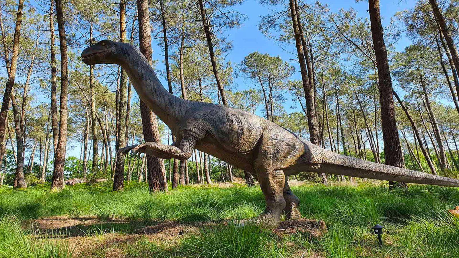 Dinosaures Parc
