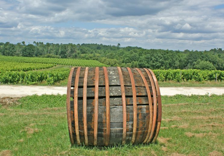 Immanquable : Le délicieux vin des Landes et s ...